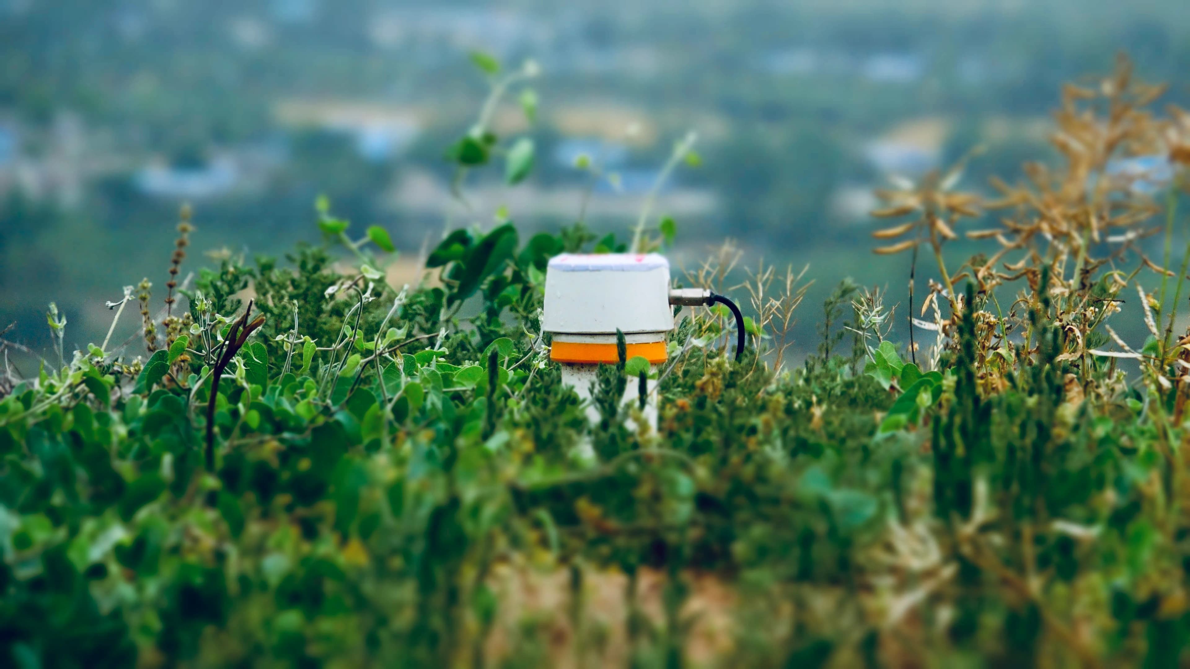 山境 - 产品背景图