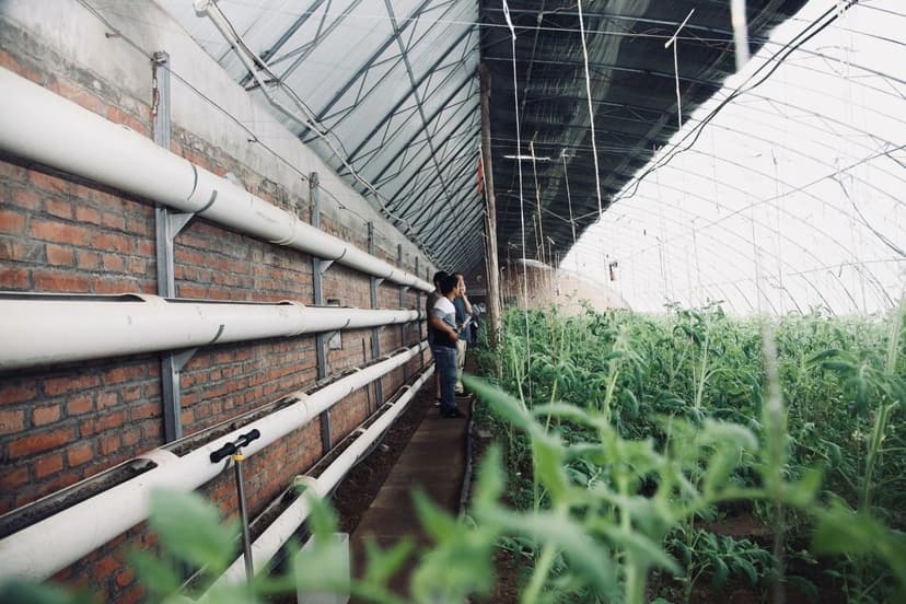 花大力气安装的滴灌系统，真的达到预期的节水效果了吗？