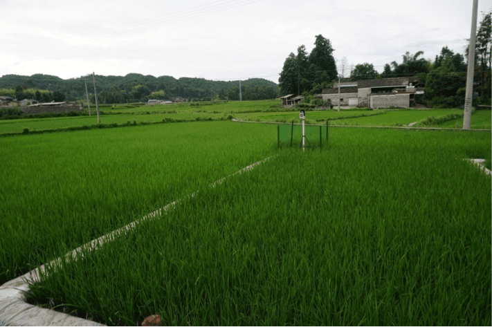 智墒天圻已为云南省特色作物需水试验工作超过350000个小时