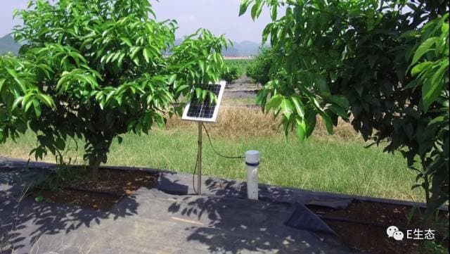 云衍助力海升集团实现敏捷灌溉