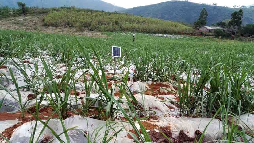 元江县水利灌区管理局利用智墒监测农田灌溉水有效利用系数