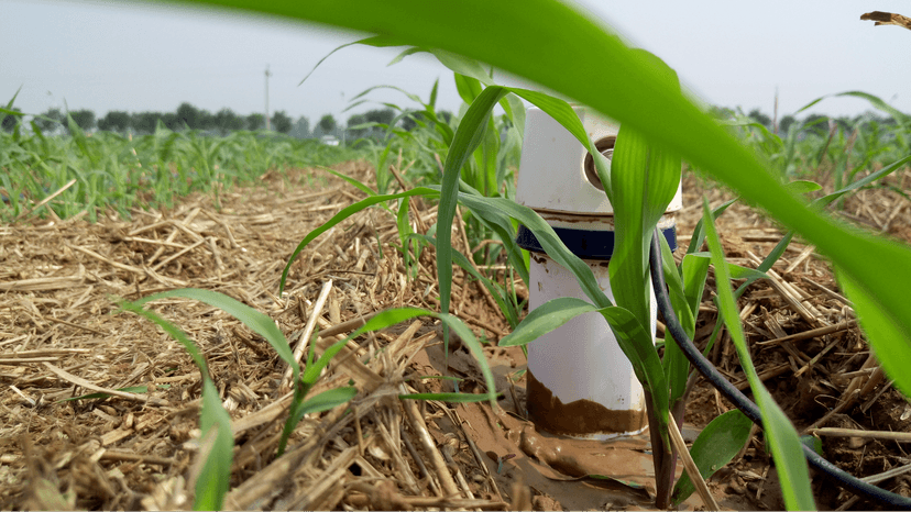 智墒一季度可为中玉金标记节水50%